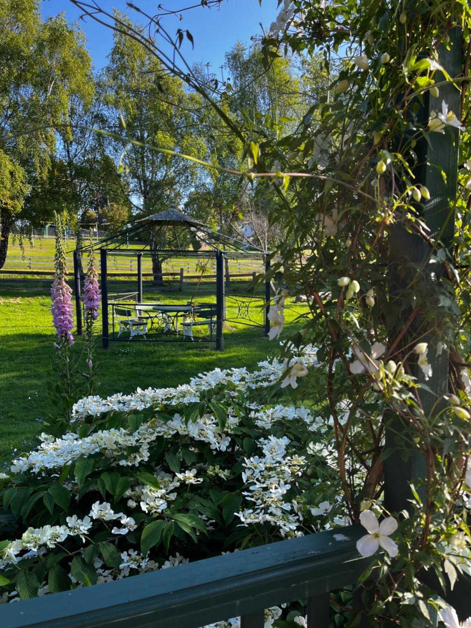 Green Gables B&B Cygnet Eksteriør bilde